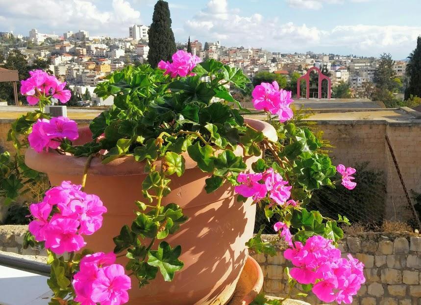 Rosana Guest House Nazareth Exterior foto